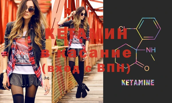 стафф Вязьма